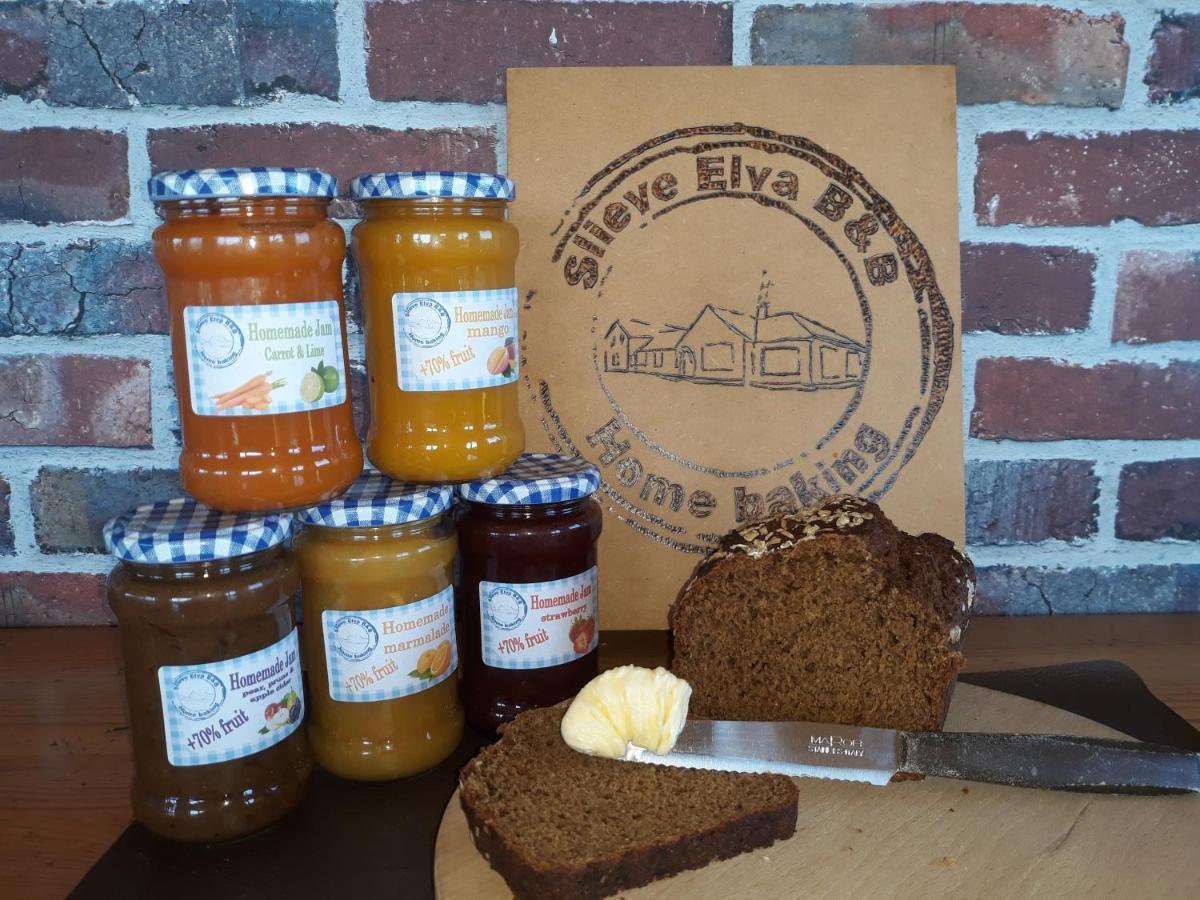 Slieve Elva B&B リスドゥーンバーナ エクステリア 写真